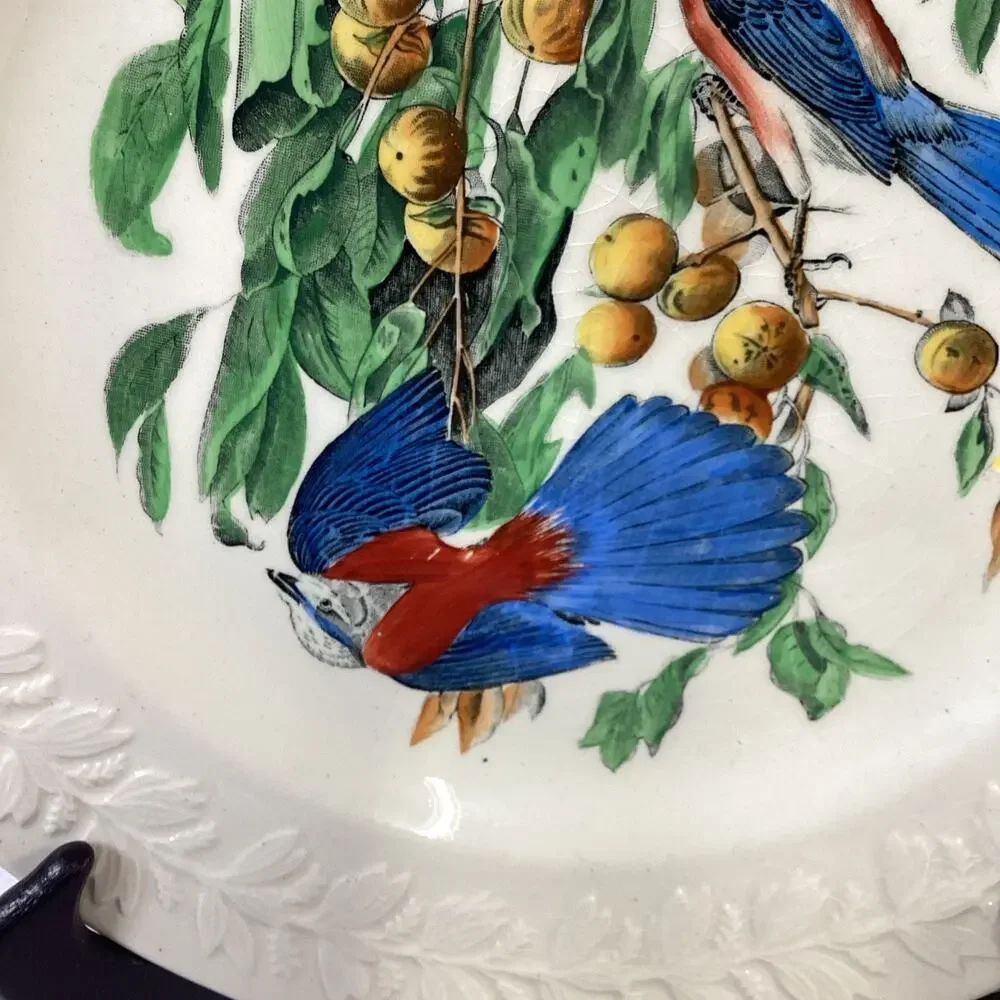 Adams England Audubon Birds of America Florida Jay Collector Plate